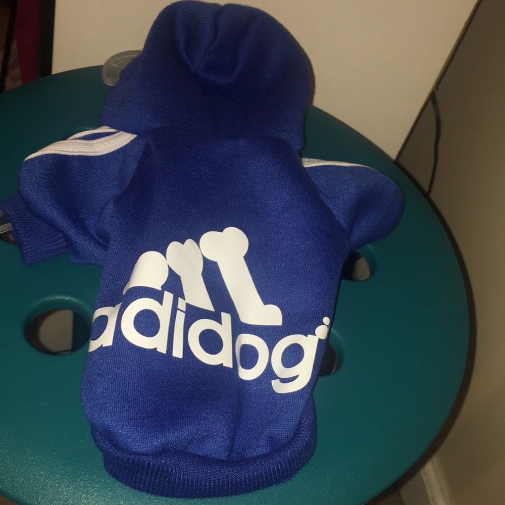 Small Dog Hoodie